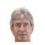 Manuel Pellegrini