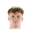 Swedberg