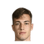 Luka Sucic