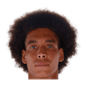 Witsel
