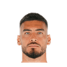 Gazzaniga
