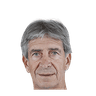 Manuel Pellegrini