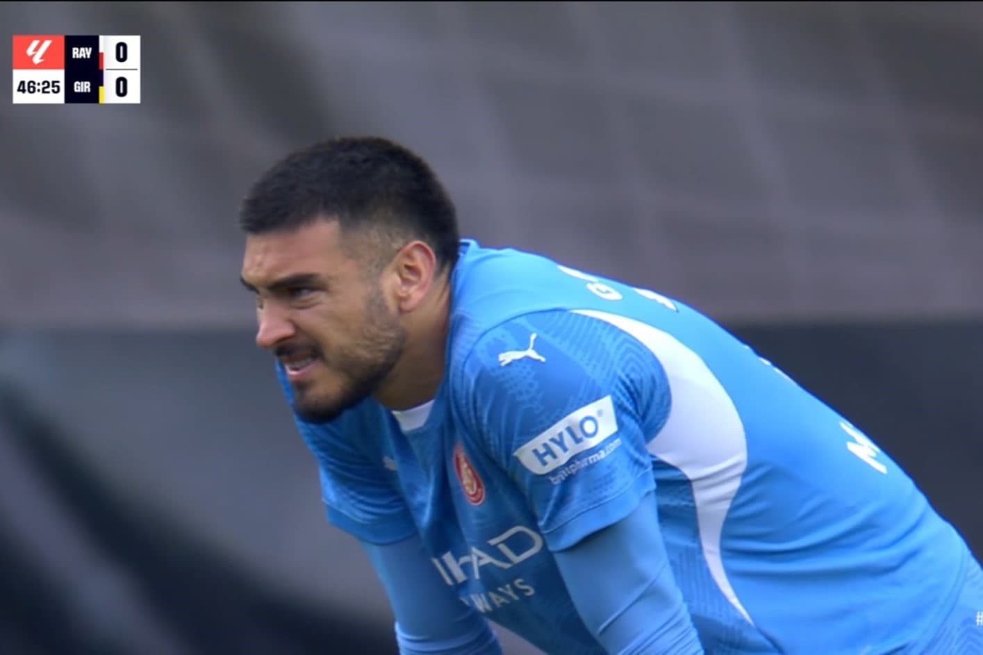 Gazzaniga